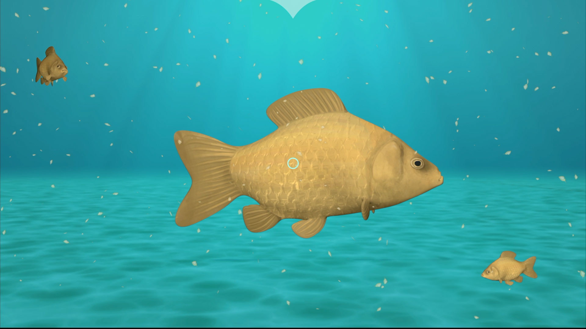 Tauchgang – VR-App-Konzept